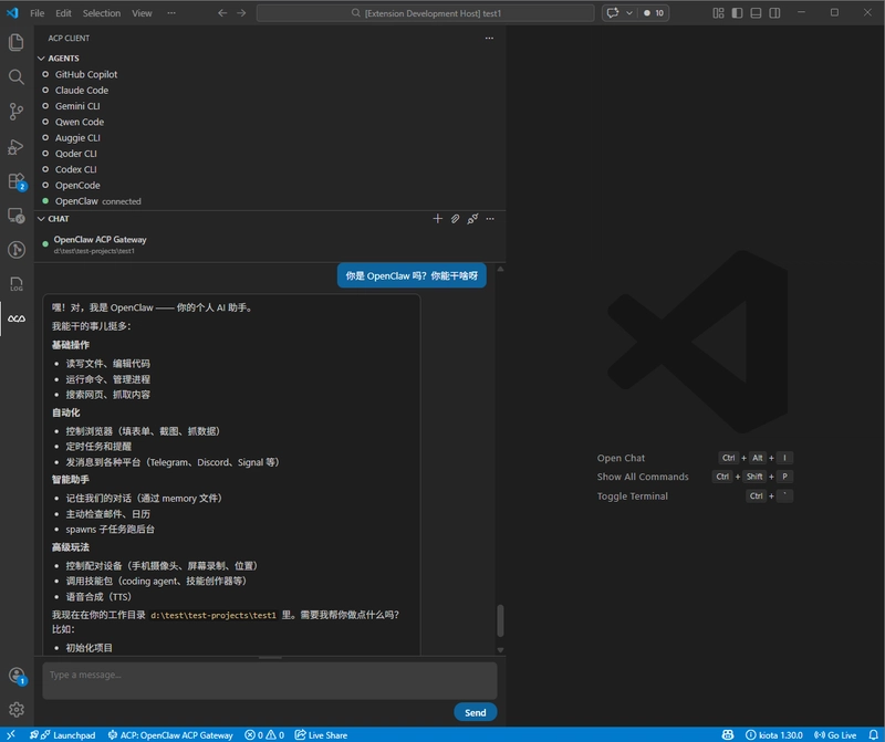 Run OpenClaw in VS Code